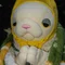 nice_gerbil0718