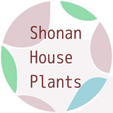 Shonan House Plants（観葉植物）