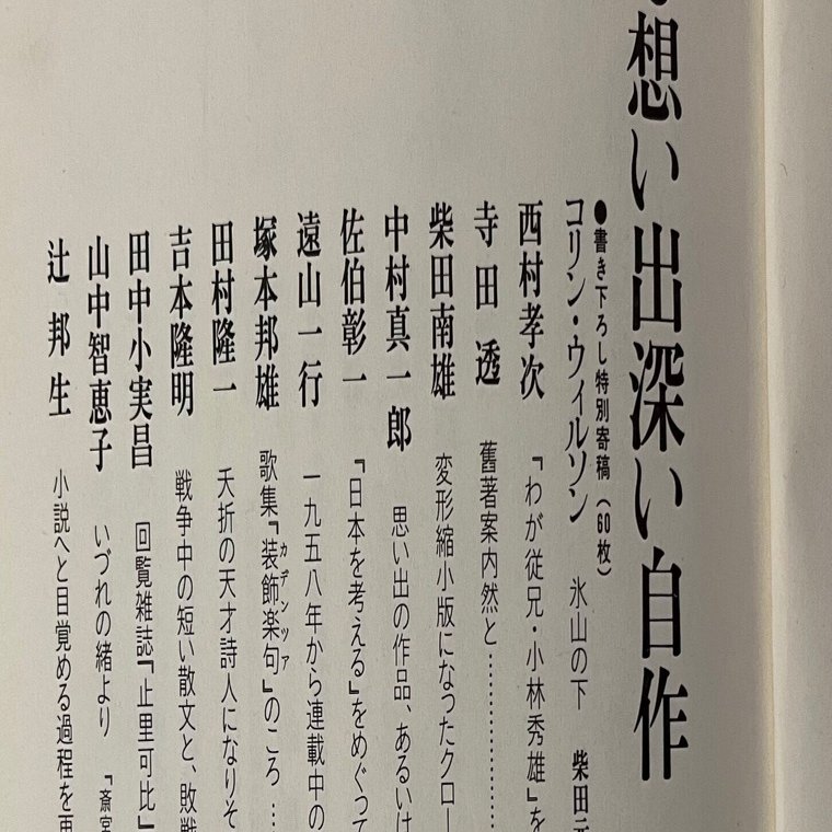 美しい」と書かない理由（田村隆一「腐刻画」）｜峯澤典子 Noriko Minesawa