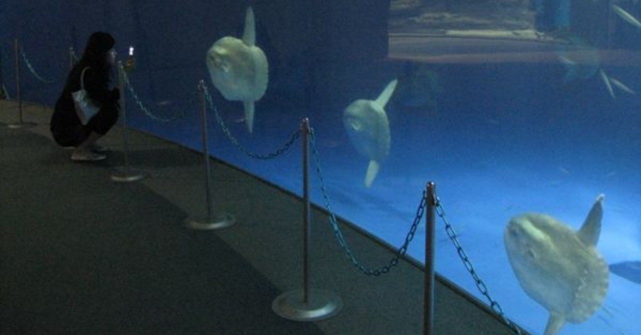マンボウのいる水族館 最新版 Manbowmania Note