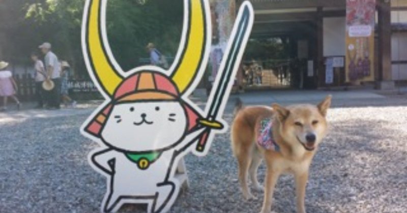 ジュマペール・ジェームス⑨〜日本中を旅する犬？！
