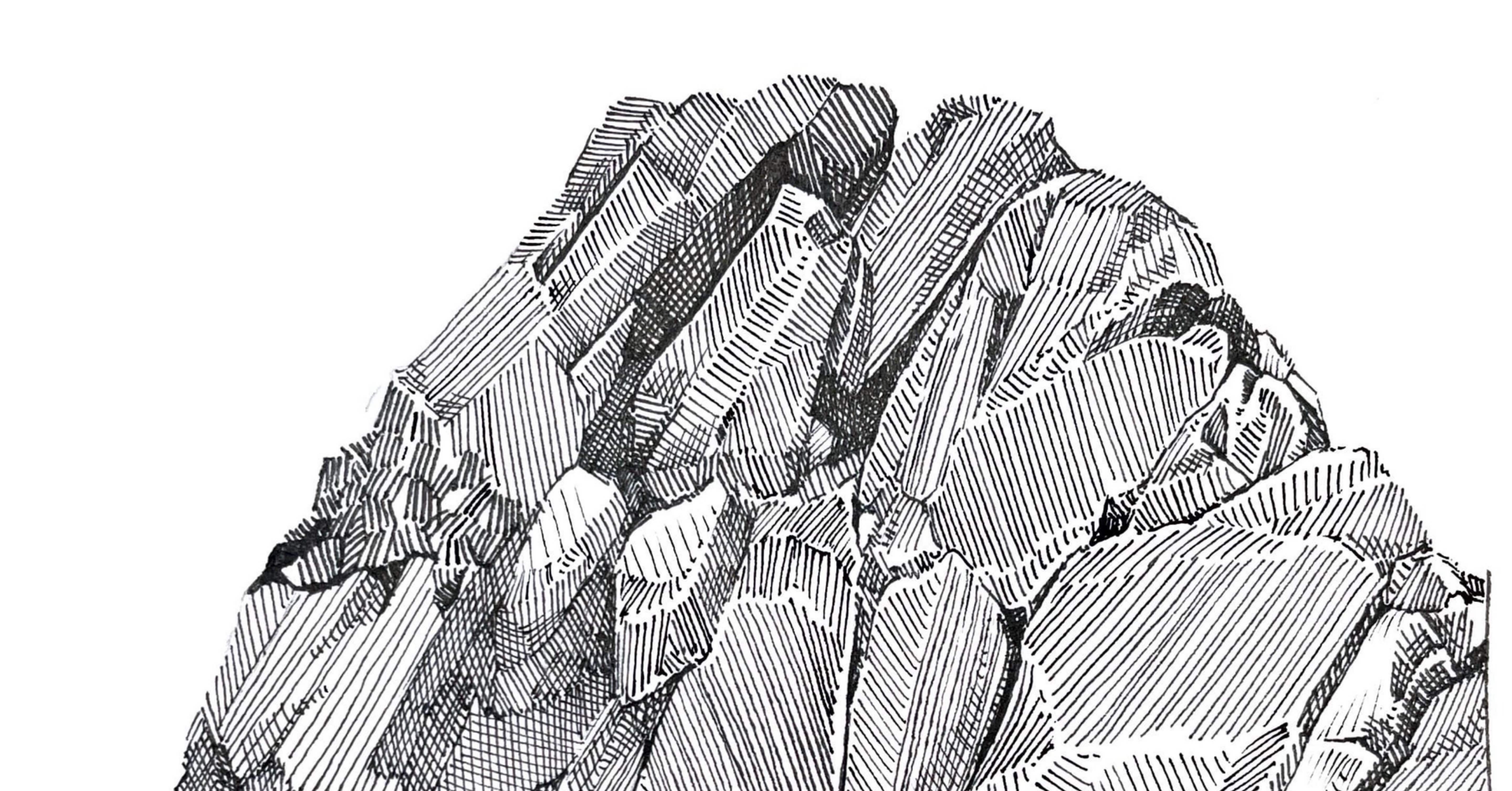 インクペン画を始めてみよう！｜ミウラタカオ｜植物画＆園芸家