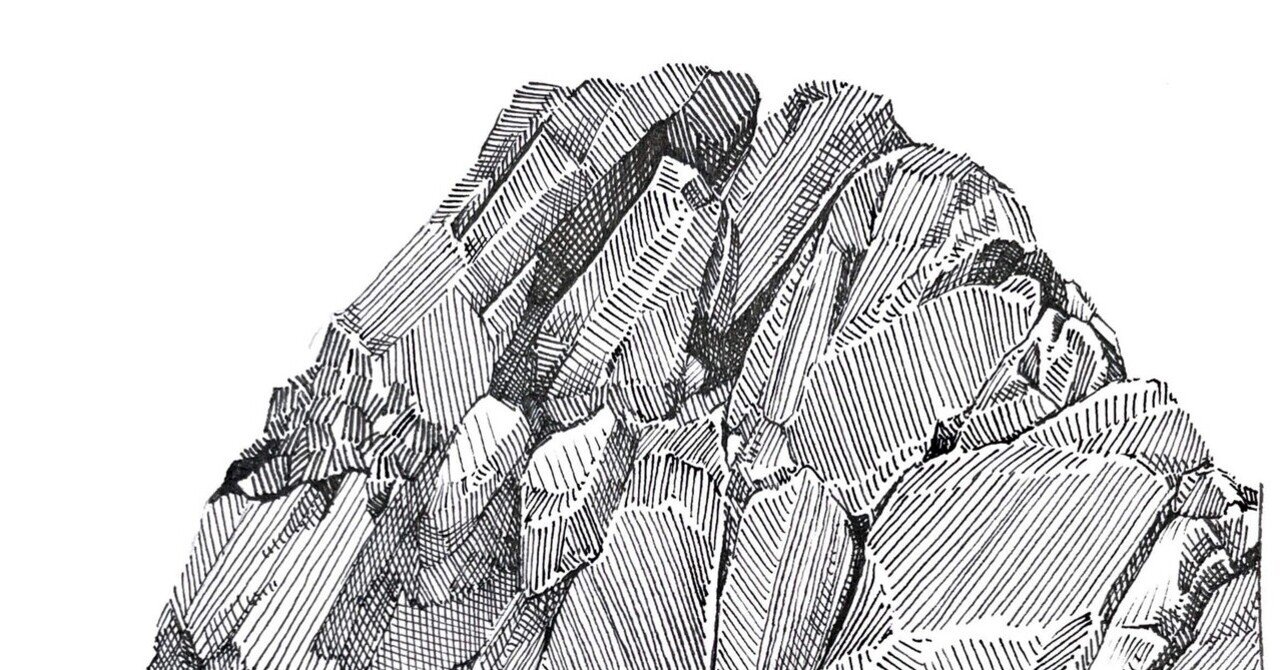 インクペン画を始めてみよう！｜ミウラタカオ｜植物画＆園芸家 