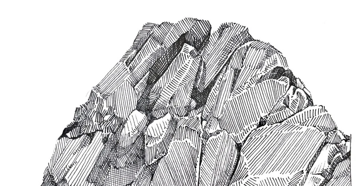 インクペン画を始めてみよう！｜ミウラタカオ｜植物画＆園芸家