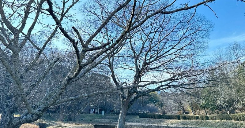  冬の奈良県大和民俗公園〜生きる力