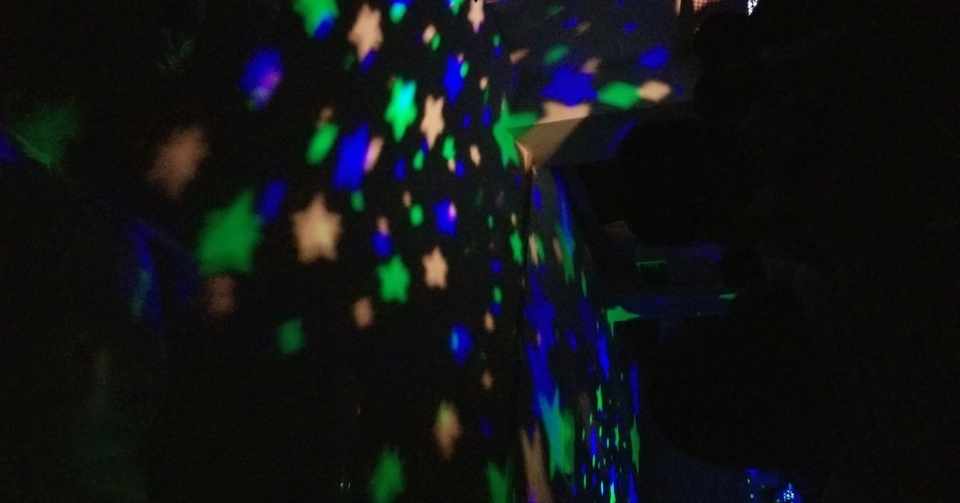 保育園に育てられる大人の日記 サニー Note