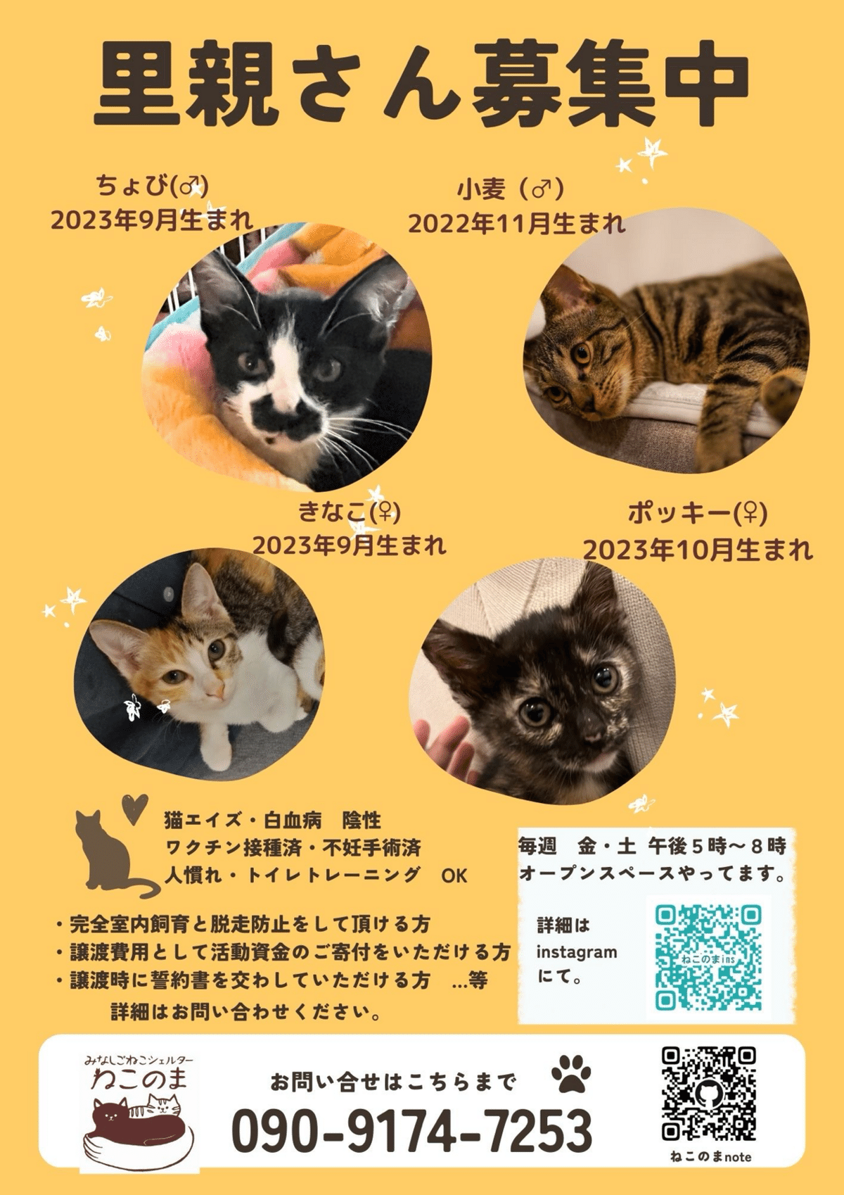 ねこのまのこれまでとこれから｜neconoma