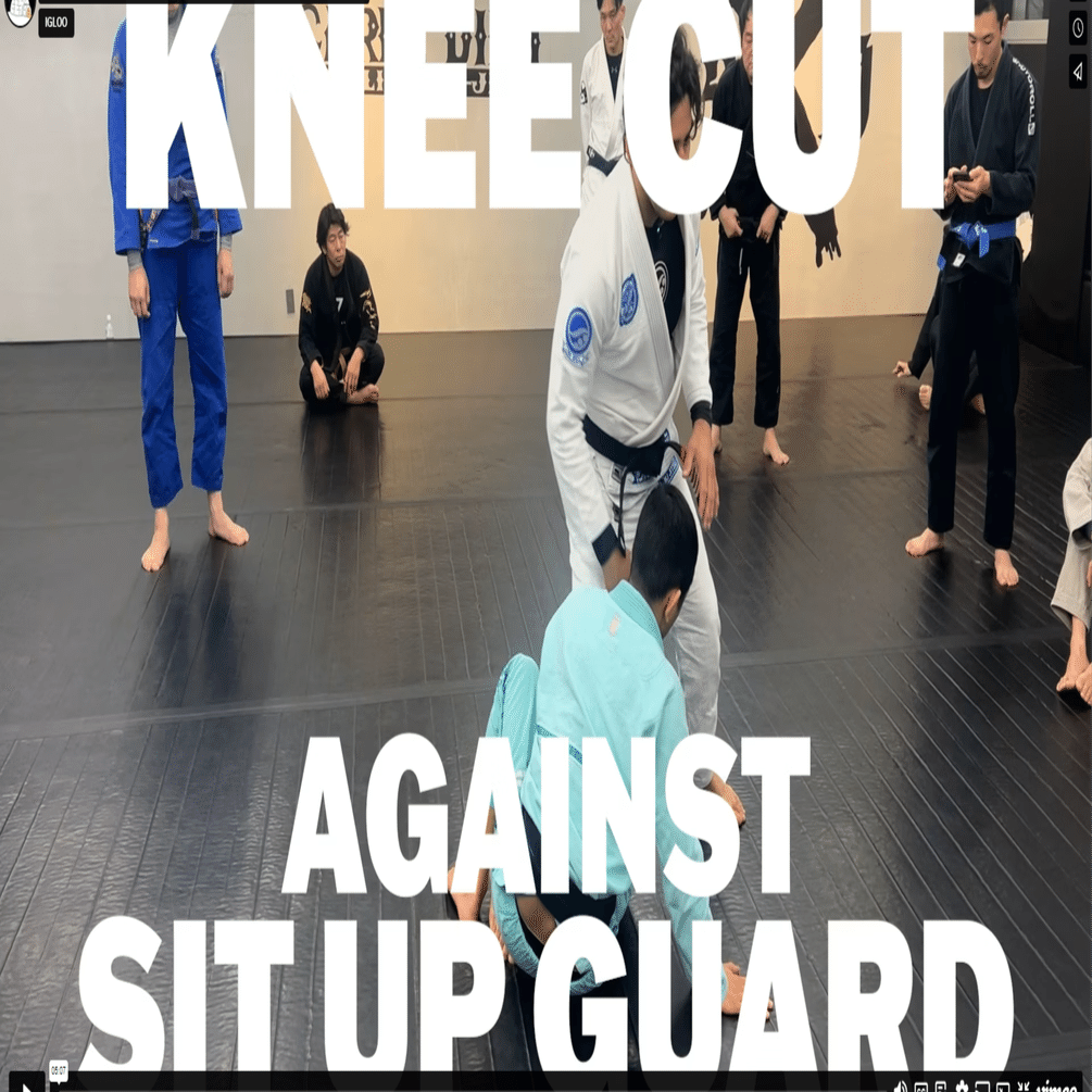 ルーカスレプリ DVDセット(柔術教則) DVD ルーカス・レプリ ブラジリアン柔術世界王者のテクニック