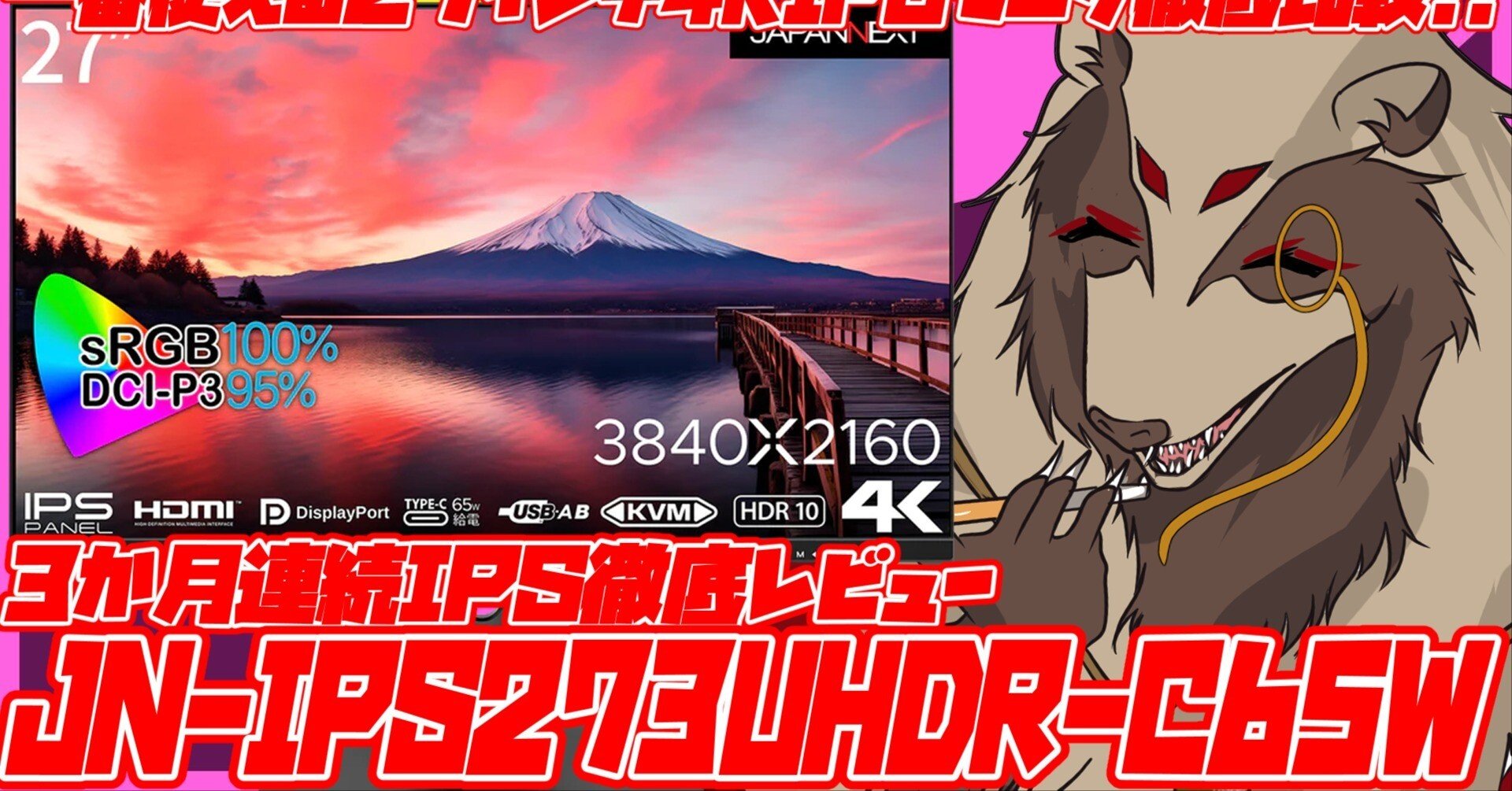 レビュー：JN-IPS273UHDR-C65W｜世田谷のタヌキ