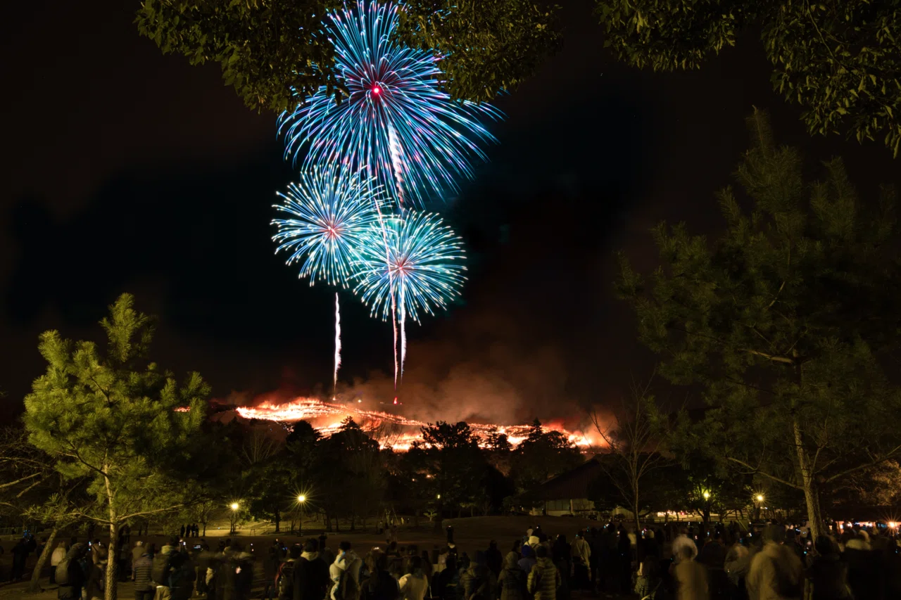 圧巻の山焼き】奈良県 若草山焼きと夜空を彩る花火｜白うさぎの思ひ出