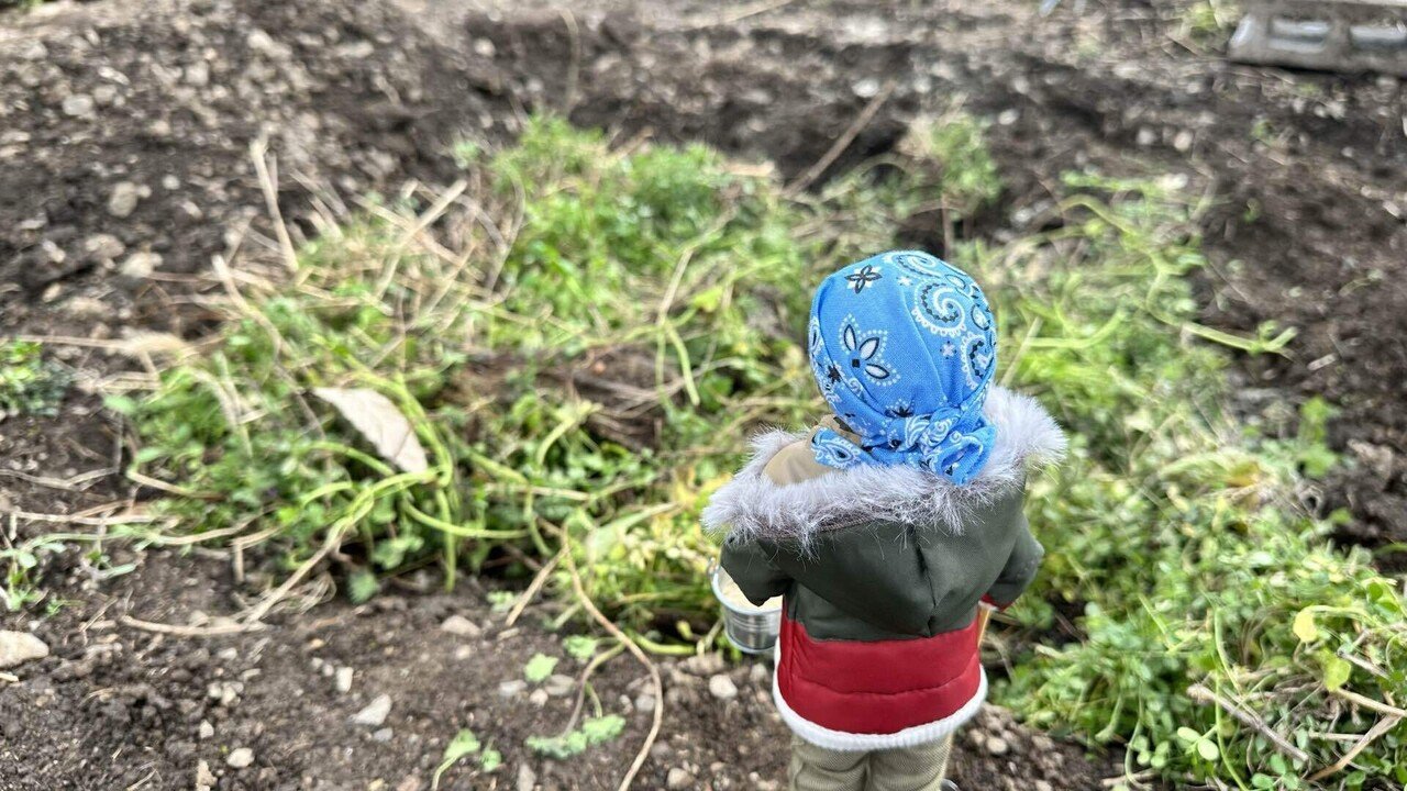お金がないので雑草を肥やしにします｜わらしべ農園 コメロ