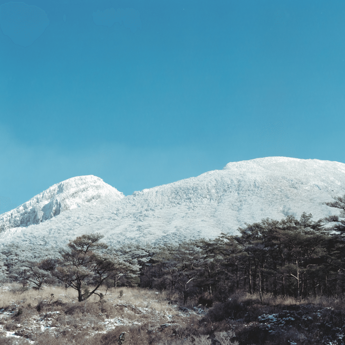 南国雪山散策記【PENTAX67、GFX 50Sⅱ】｜かもめ写真部