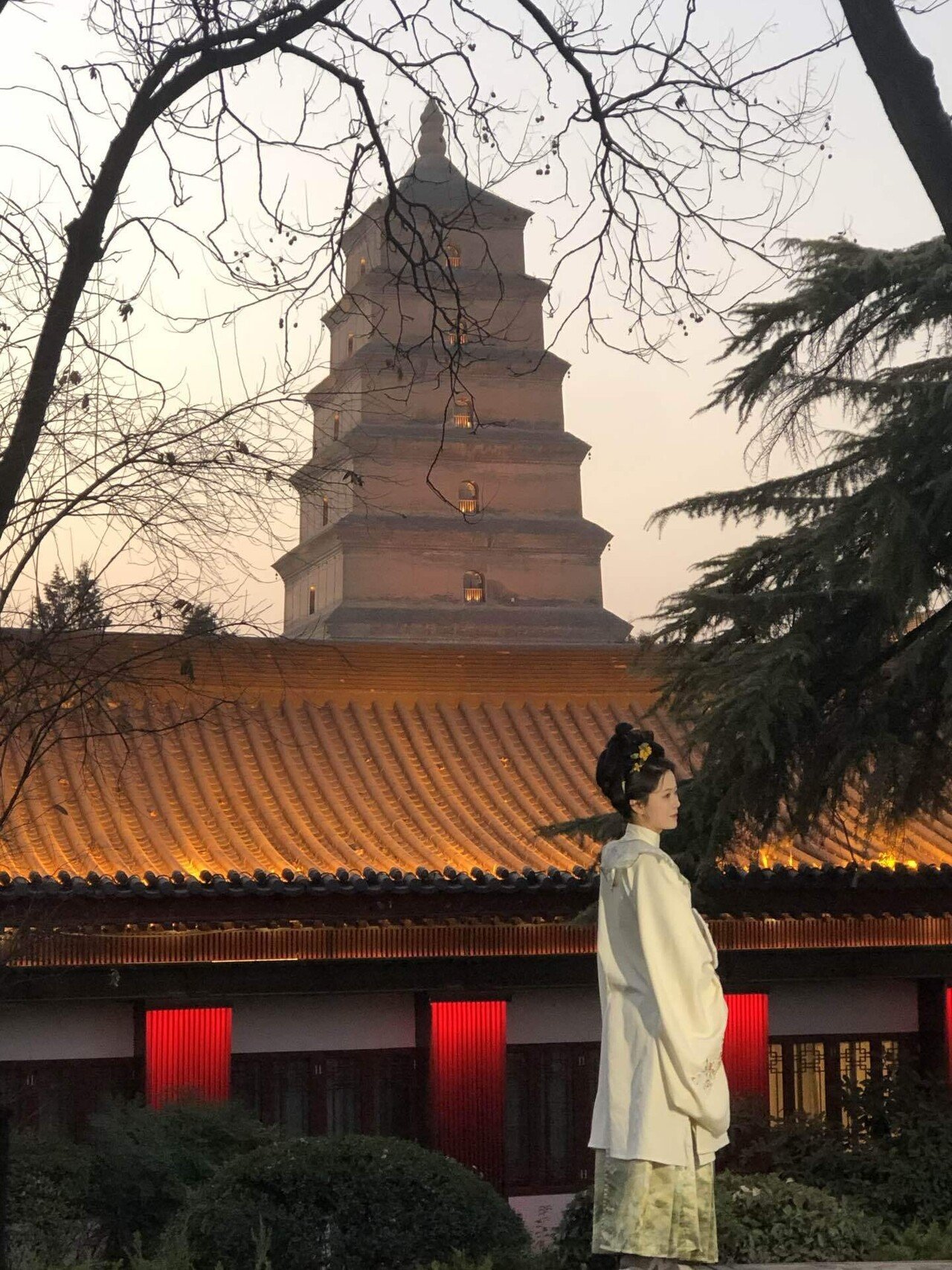 一法界ソリヤ法（中院・三憲）修法解説先師葬儀便覧DVD 4枚組 一法界ソリヤ法（中院・三憲）修法解説先師葬儀便覧DVD 4枚