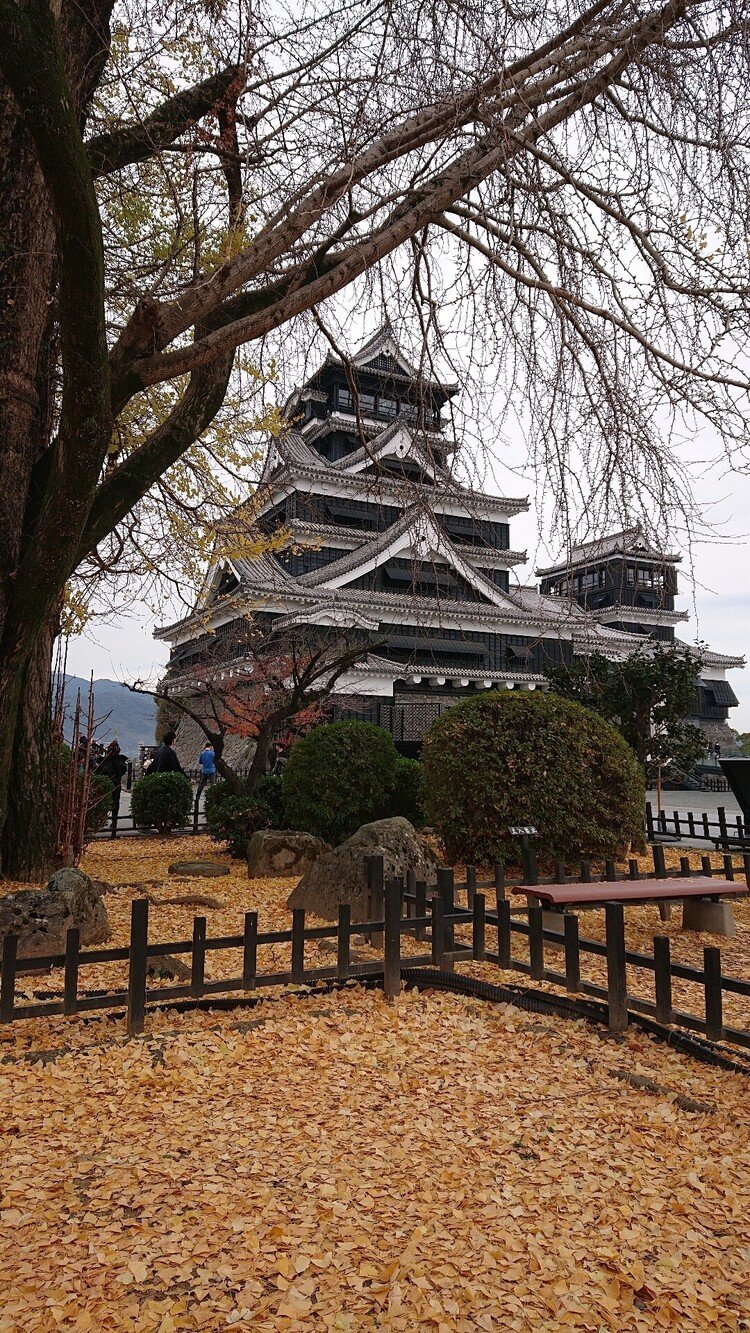昨年12月に行った熊本城 訪れてから約２ヶ月が過ぎまた行きたい場所になりました😁