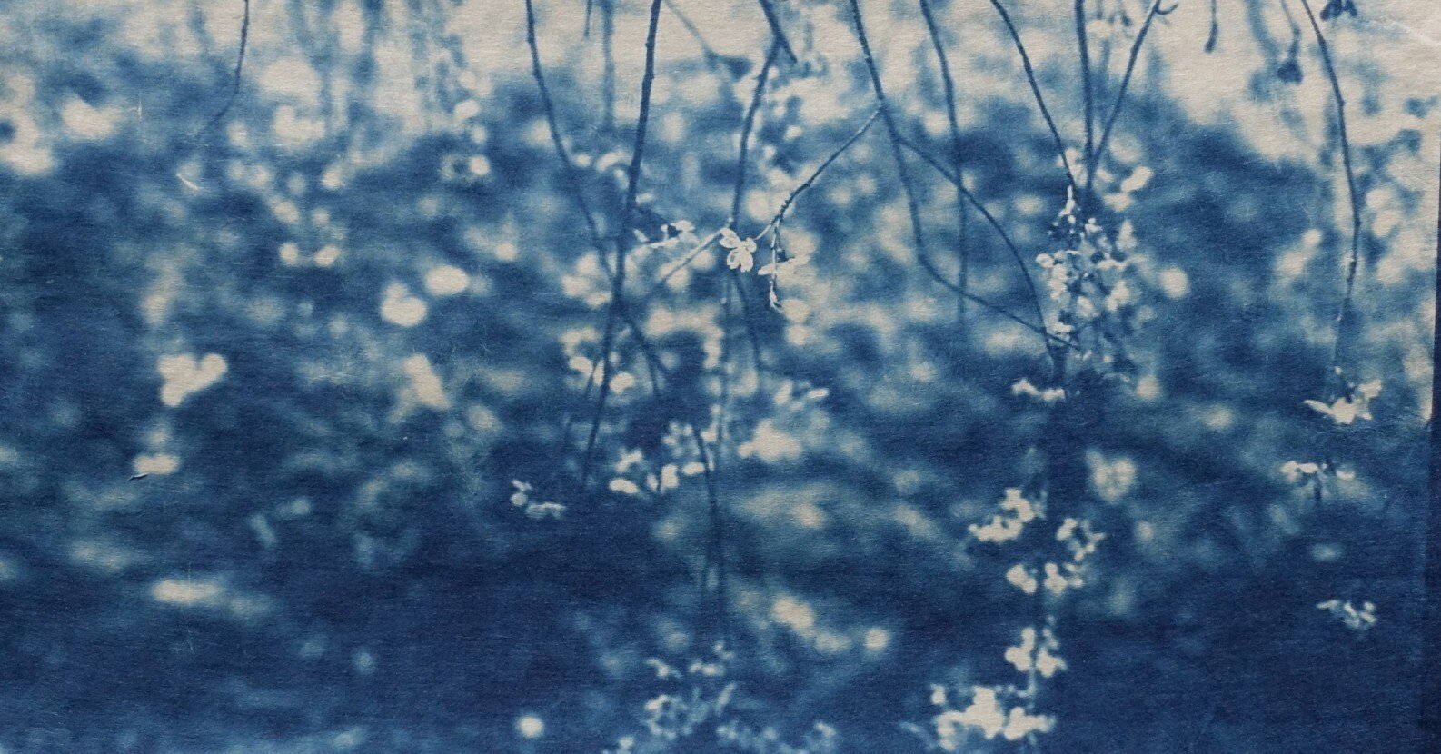 希少　サイン付き　アンリ・ロア　Out of the Blue　写真集 5b89d1379155051c6ed2c614336e72