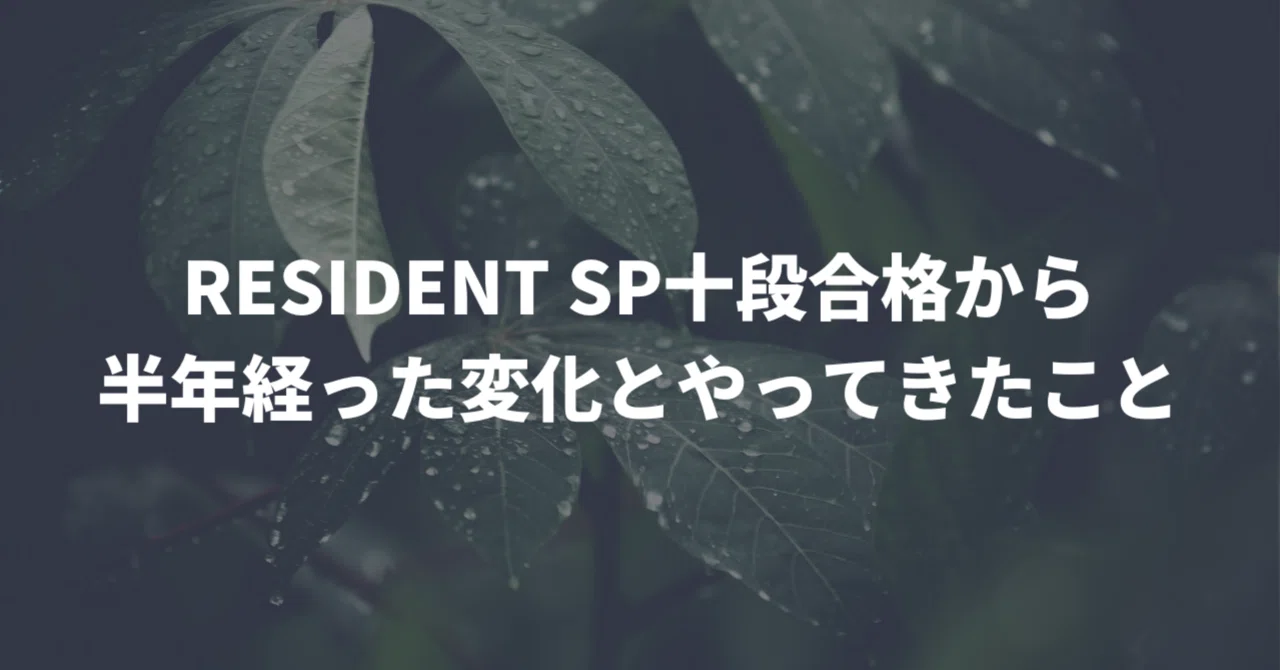 Towards Chuden (Intermediate) ①: Changes and Progress Half a Year After ...
