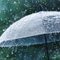 雨乃 傘