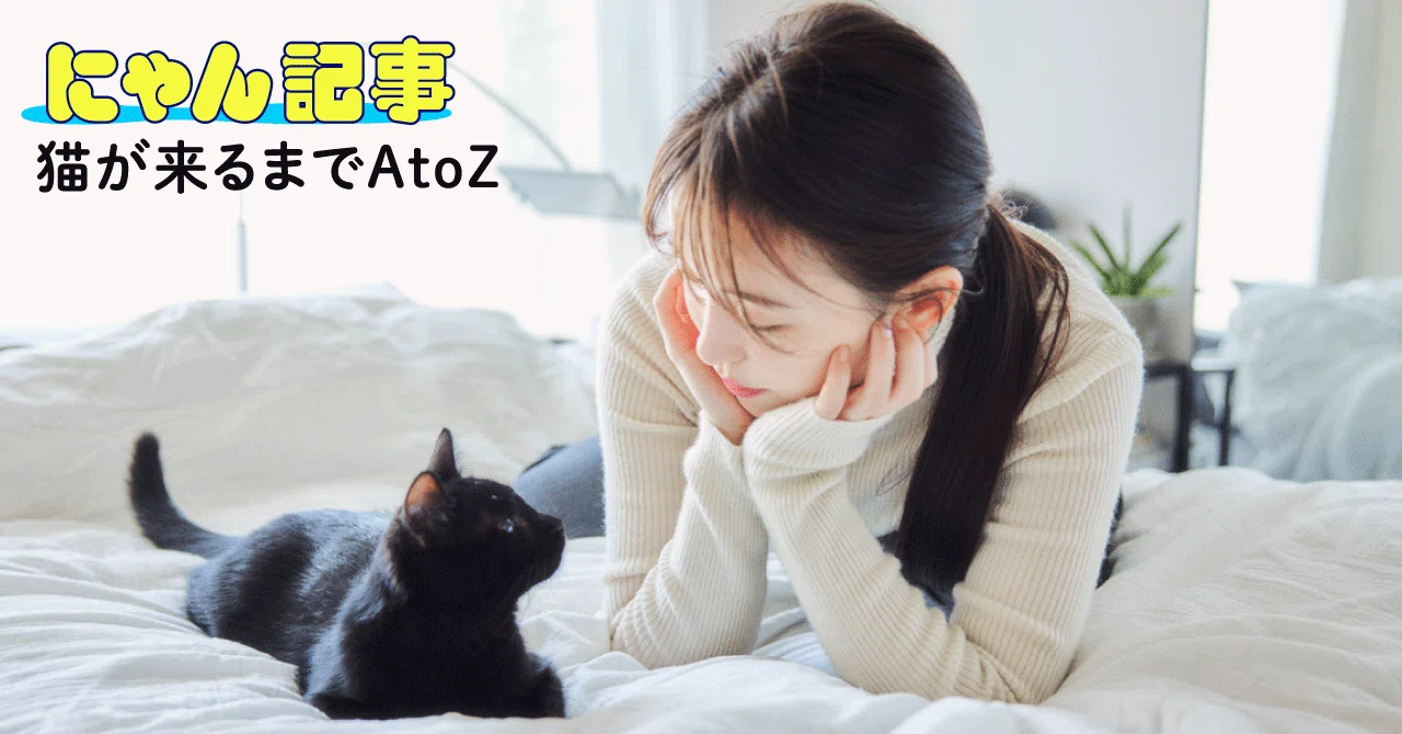 猫が来るまでAtoZ―初めて猫を飼う飼い主さんへ、猫を飼うまでの指南書