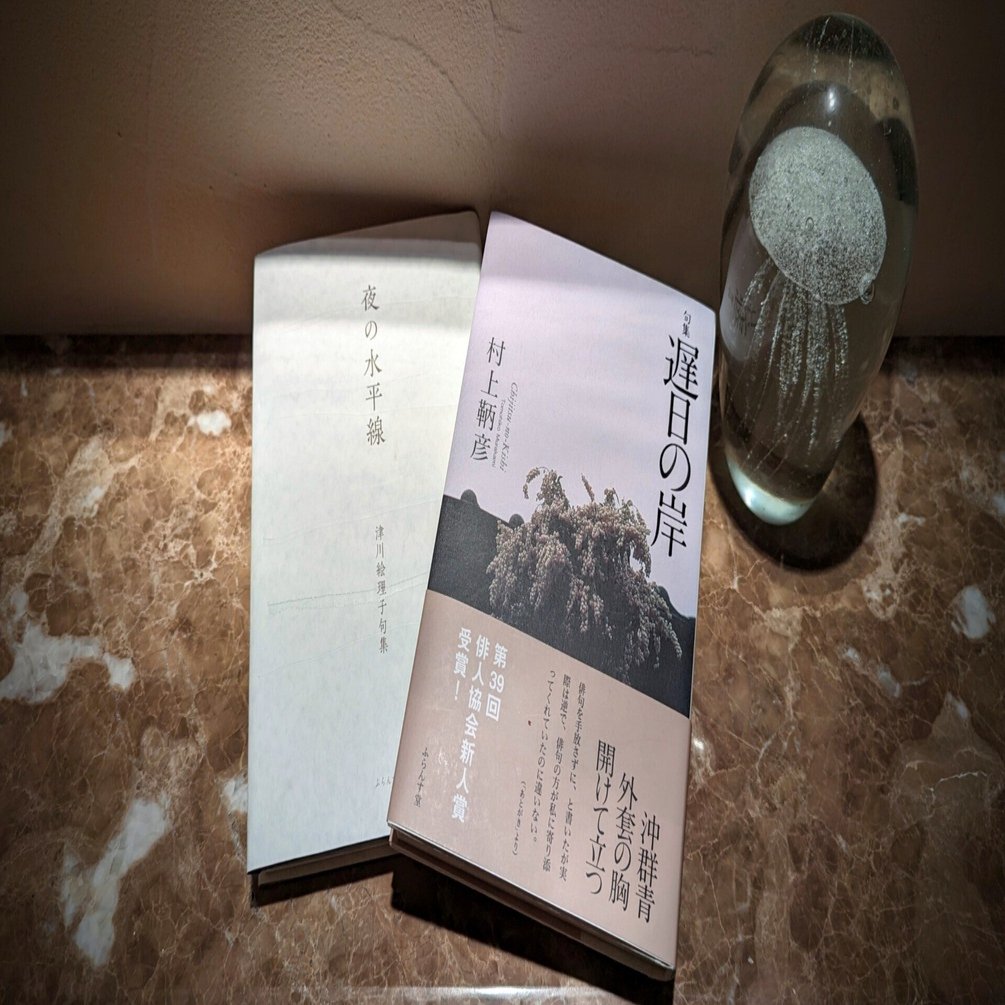 俳句の鑑賞㊵｜紫乃