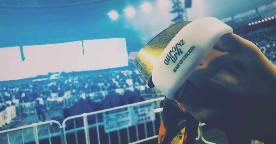 Bumpと見たオーロラは何よりも美しかった Bump Of Chicken メットライフドーム19 7 12 ネタバレあり 紅葉 Note
