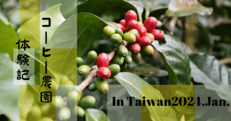 【台湾珈琲を楽しむ】コーヒー農園体験記vol.1ーはじめに