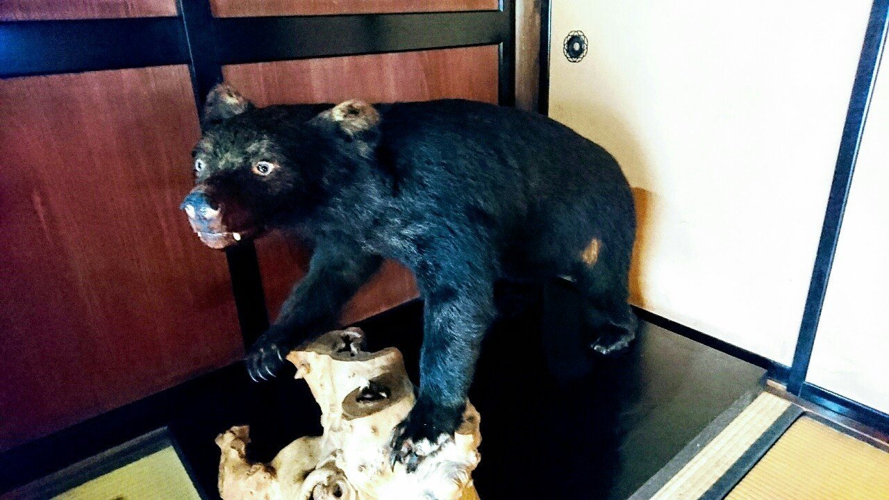 裏磐梯で熊に出会った ～後編～｜佐藤 慈雨/@ameyoru