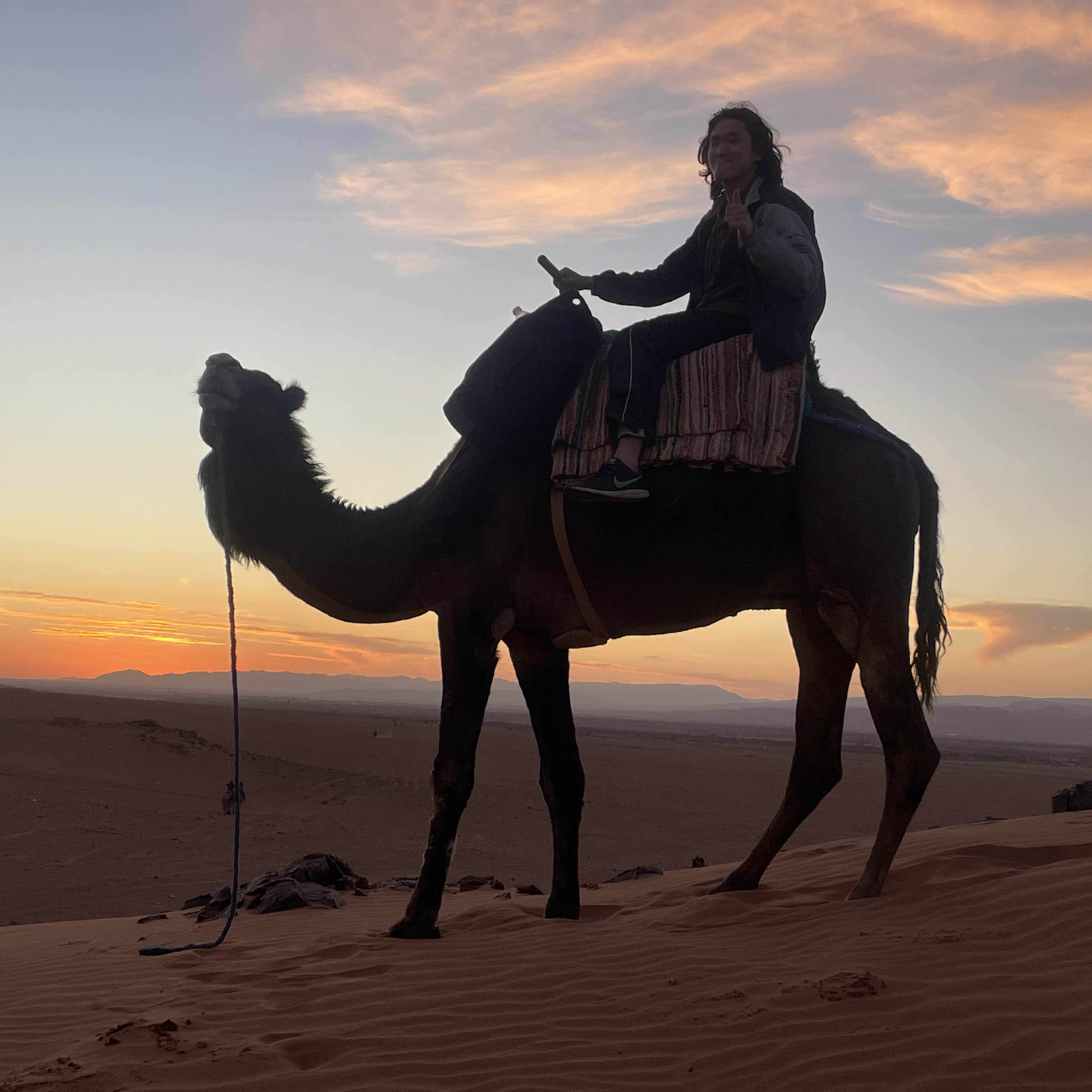 高岡龍佑🇩🇰