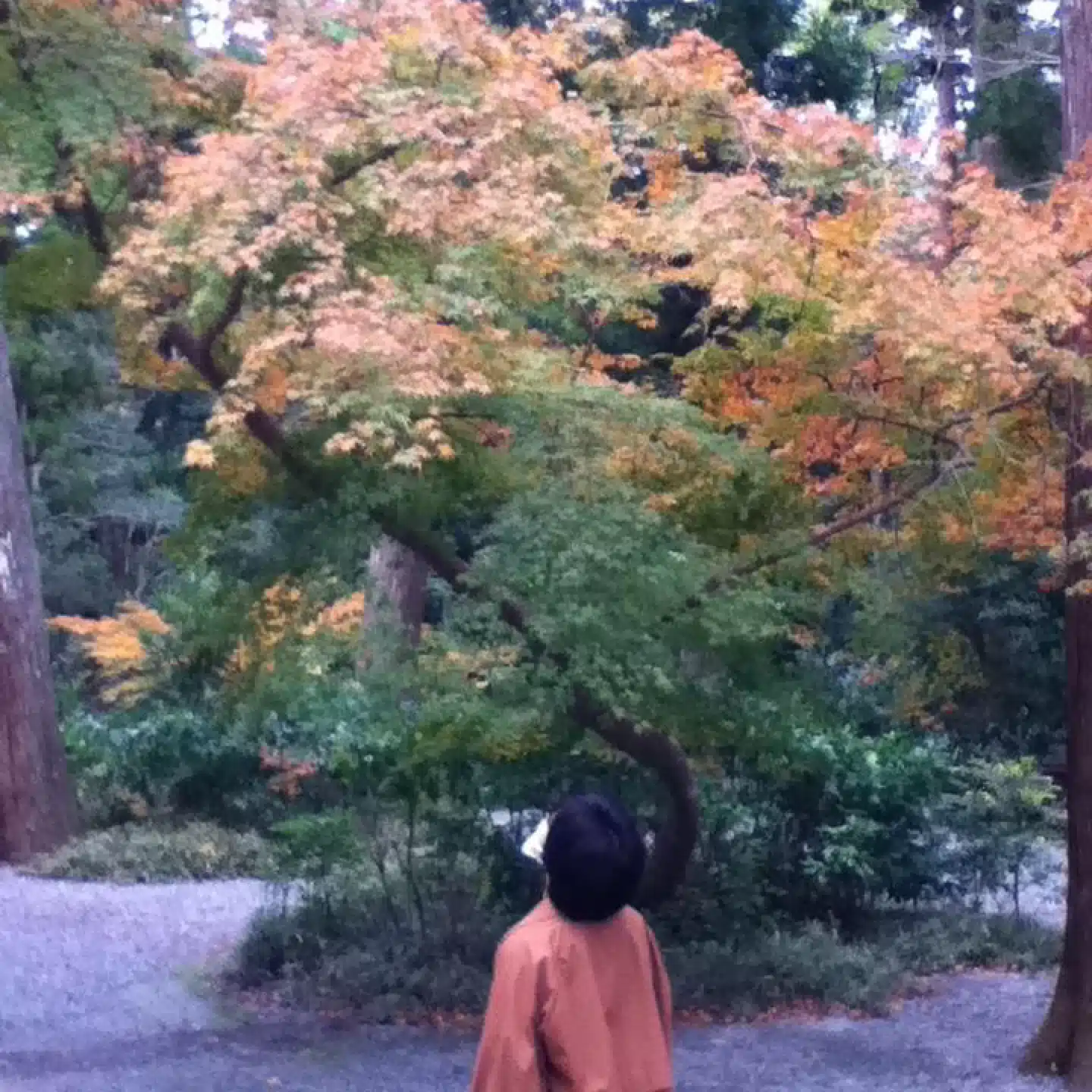 よね