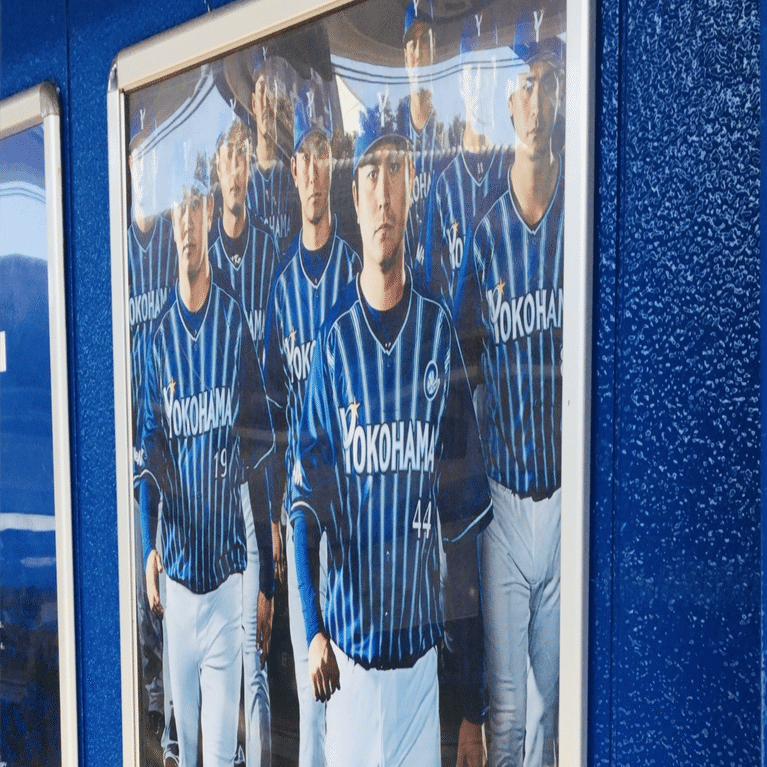 NPB新ユニホーム2024｜港星・猛牛