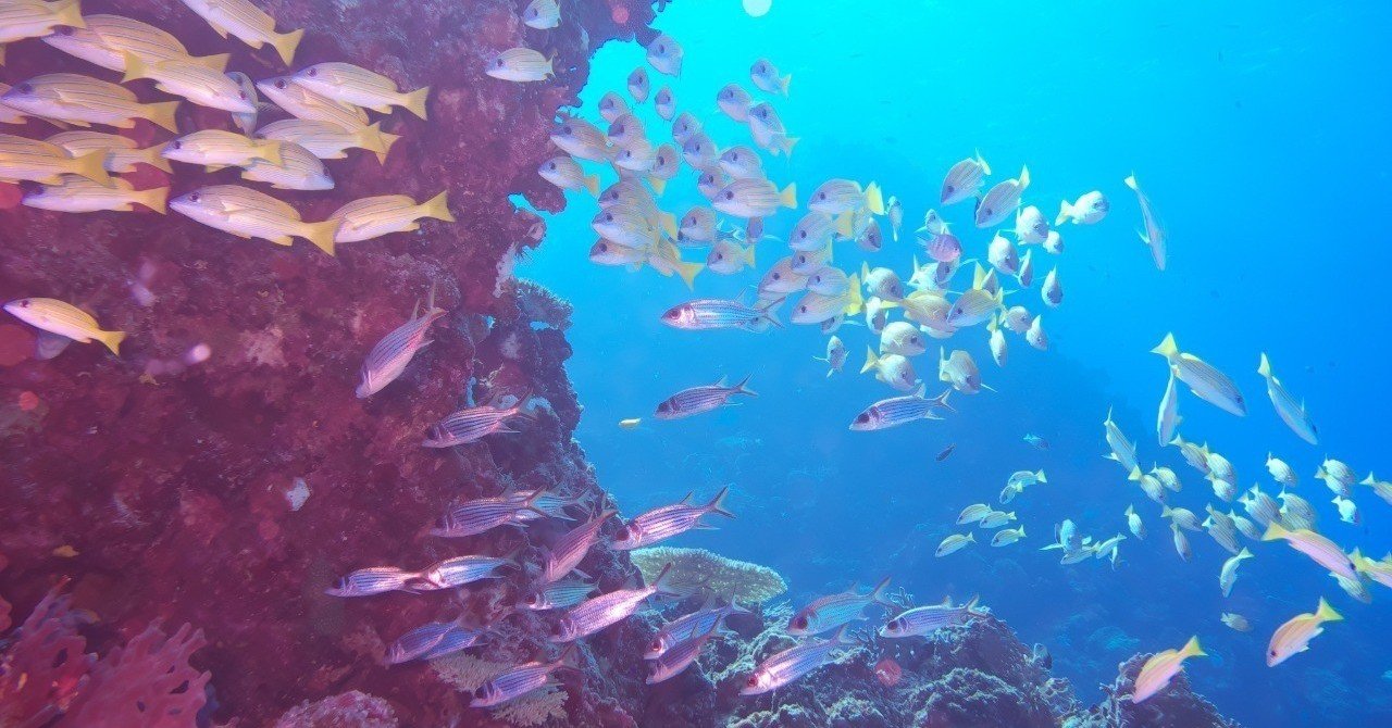 アリエルがちょっとだけ嫌な母親になってんだよね 石塚 雅延 Note