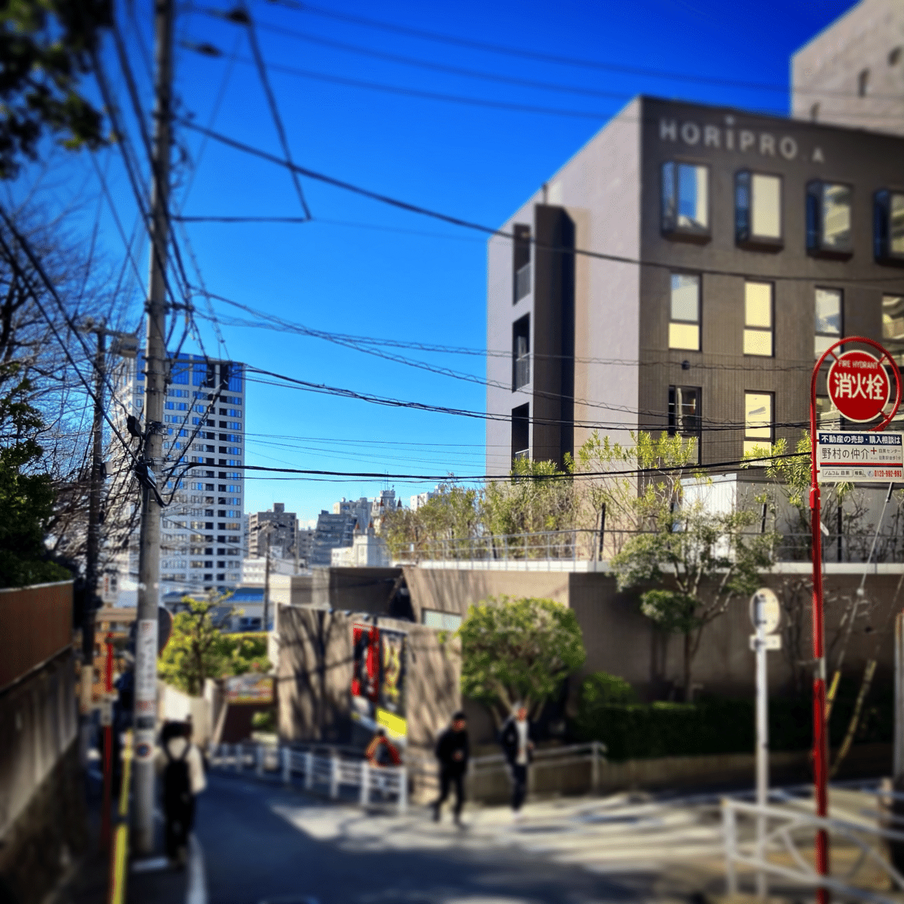 目黒駅から目黒不動尊、林試の森を経由して学芸大学駅までお散歩 3.8km