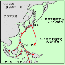 第385回 ツバメ 8回目 の渡りの苦労 翆野 大地 Note