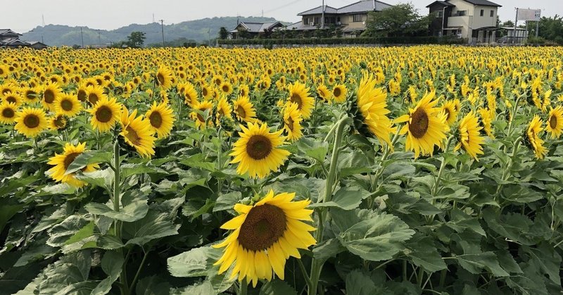 「評価」という幻想