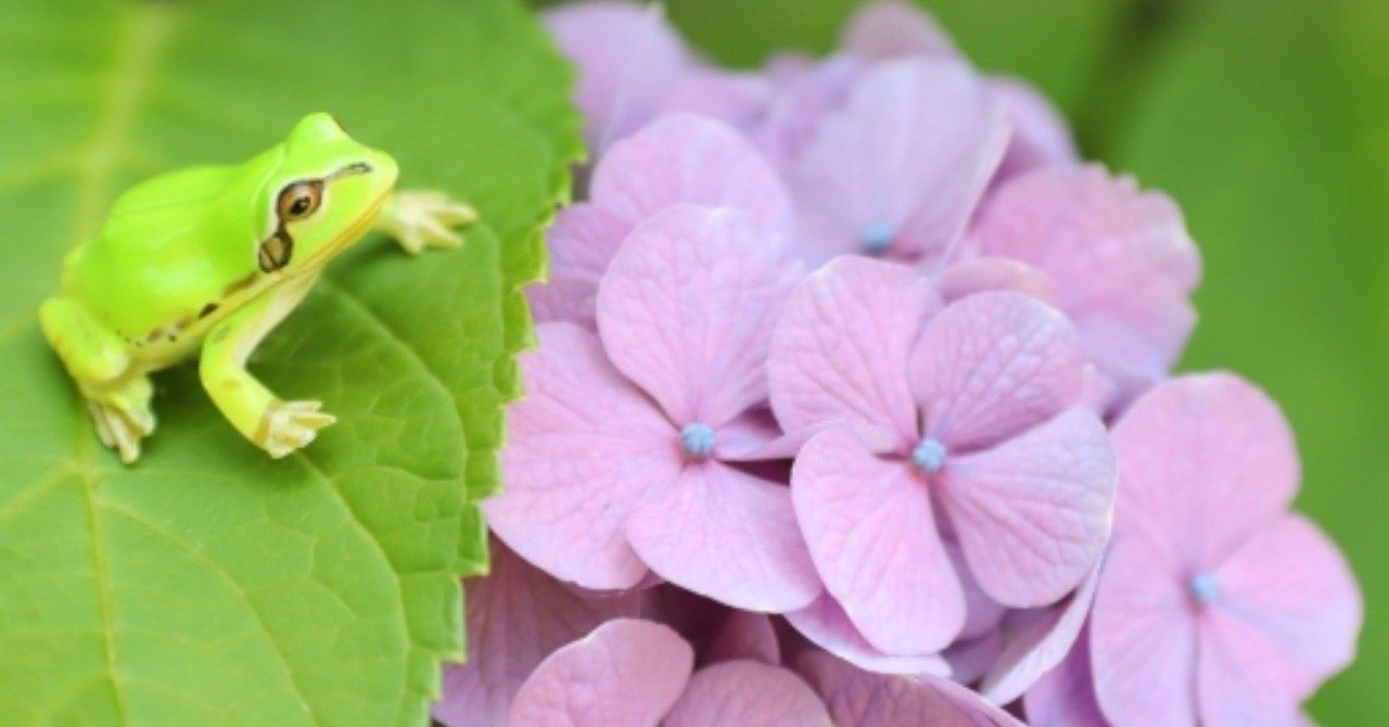 お金持ちになる現実的な方法 斎藤一人 ツイてる坊主 斎藤一人まとめnote Note