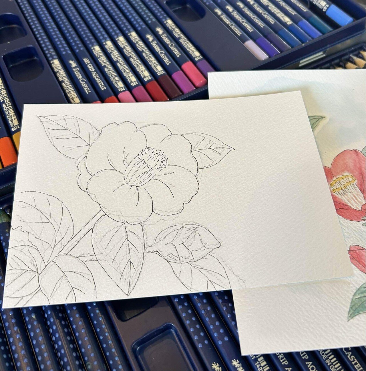 水彩色鉛筆2024.2.3④｜Snow❄️Yukihikari