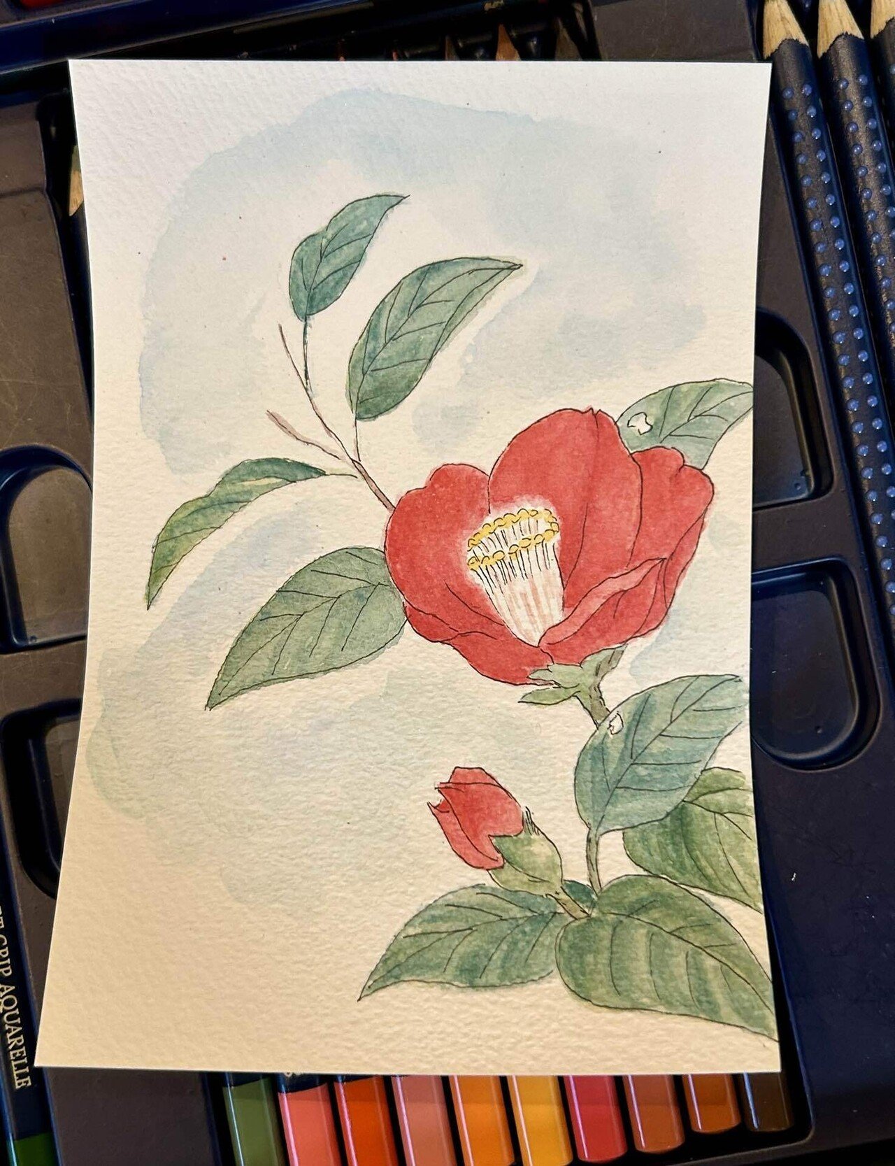 水彩色鉛筆2024.2.3④｜Snow❄️Yukihikari