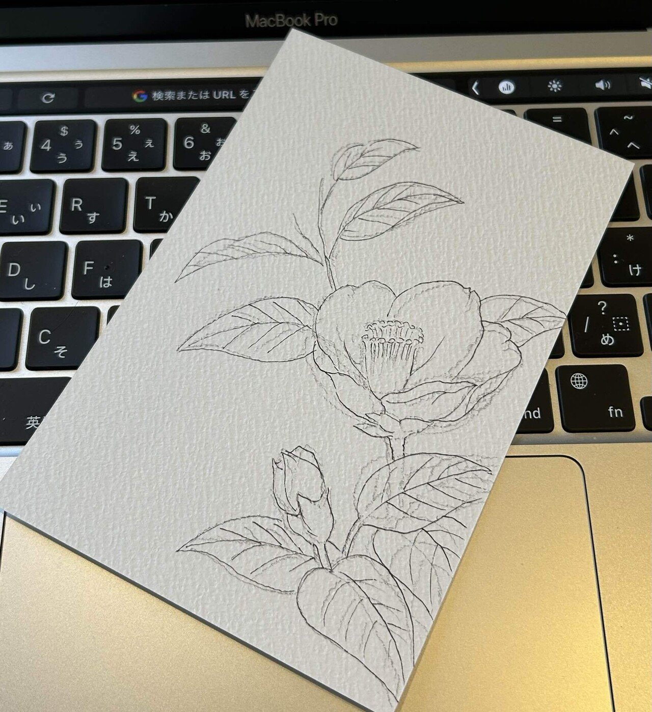 水彩色鉛筆2024.2.3④｜Snow❄️Yukihikari