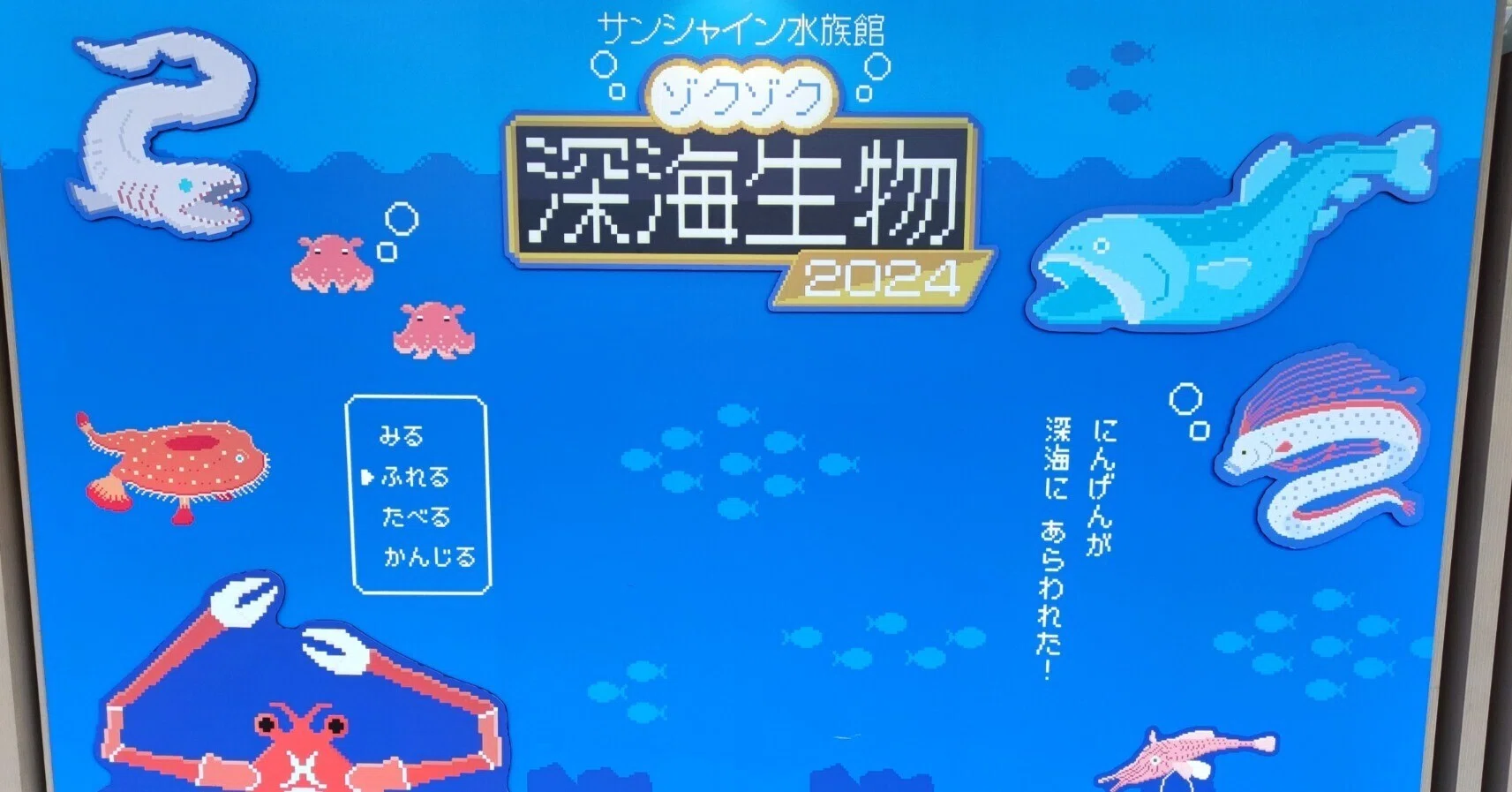 ❌水族館好き(❁ᴗ͈ˬᴗ͈)水族館の生き物 サンシャイン水族館 ゾクゾク深海生物2022 | ニュースリリース | 株式