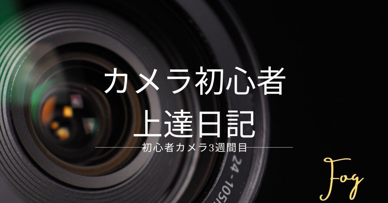 高感度ショップで2023年売れたブランド カメラ上達日記＠鎌倉（購入から3週間目）｜FOG@DaVinci レンズ(単焦点)