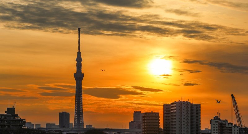 朝景・夕景｜Toru Shiratori｜note