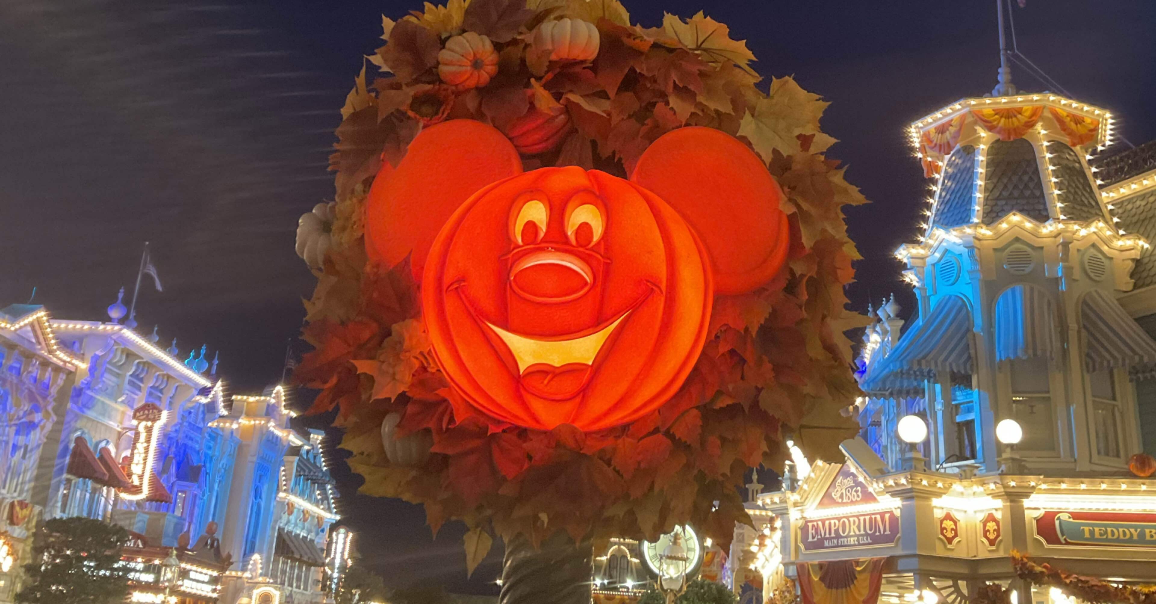 フロリダ旅行：4日目後編（マジック・キングダムで祝うバースデイ