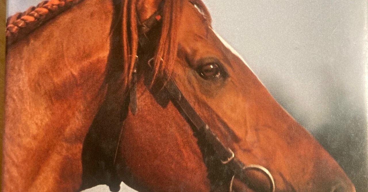 競馬パネル：大型 68cm×98cm「詳細不明」 ※テンポイント？