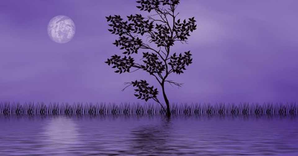 バスの夜釣りのすゝめ Seebo Note