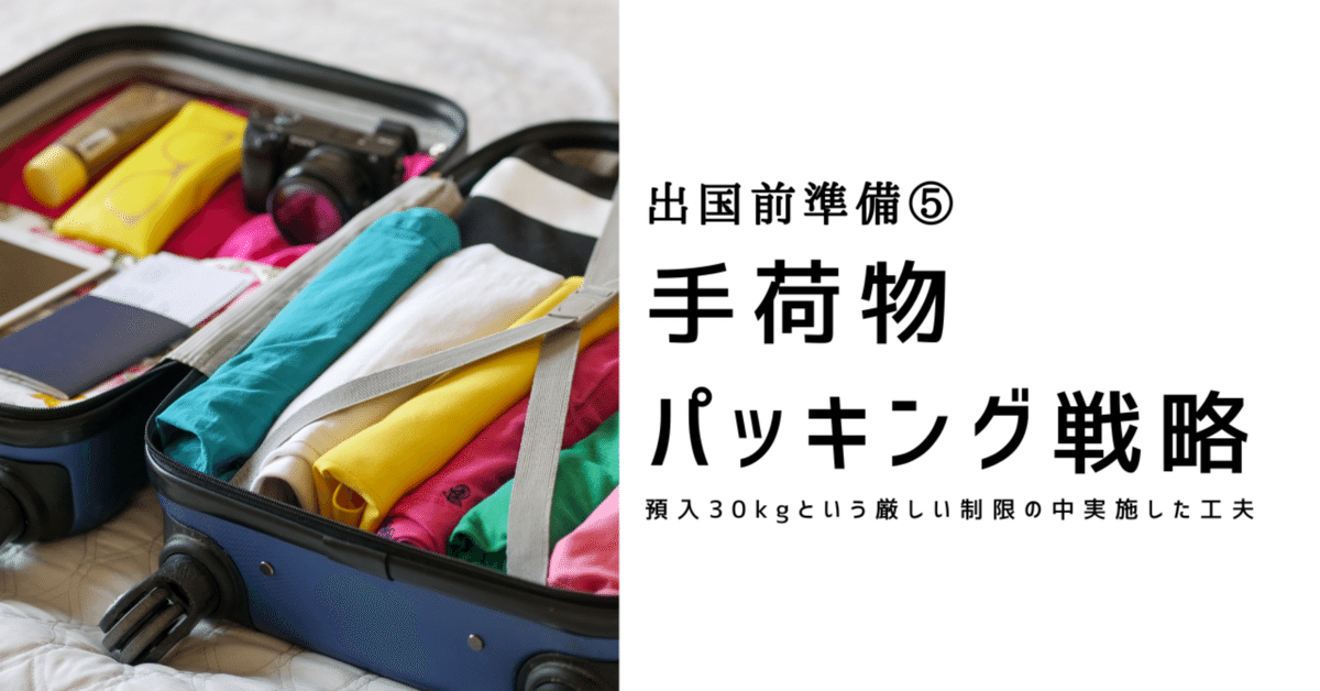 シンガポール航空 キャリーバッグバック 機内持ち込み可 剃っ