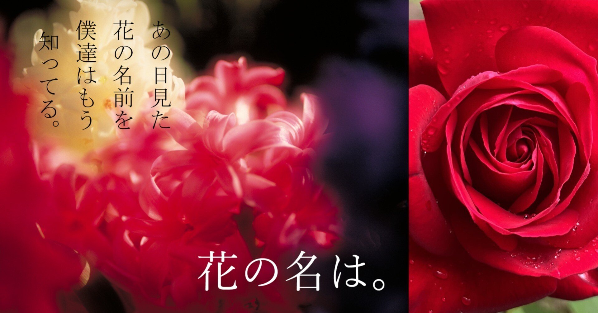 他の方発送×【薔薇】　肉質画 他の方発送×【薔薇】肉質画