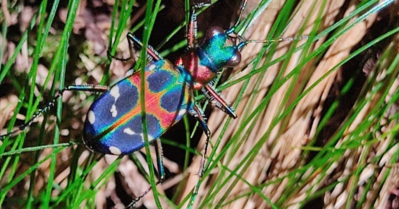 89a7d165fe8139c146d49c8664e282