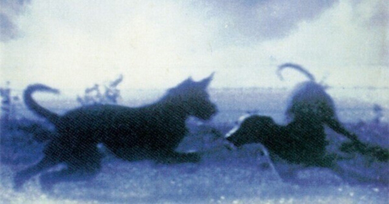 スピッツ歌詞考察（第56回）水色の街｜のぉ