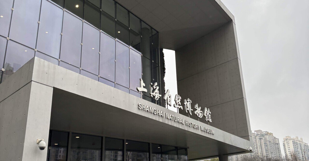 上海自然博物館@上海2024.2.3｜satonaporitan