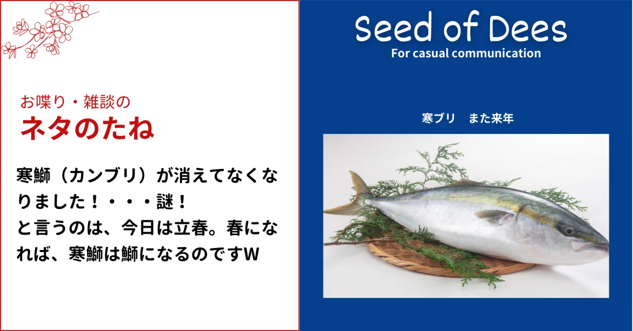 寒鰤（カンブリ）がいなくなってしまいました！・・・な・な・なんとです！ いなくなったその訳は、今日は立春！春になれば寒鰤は、鰤になってしまうの ...