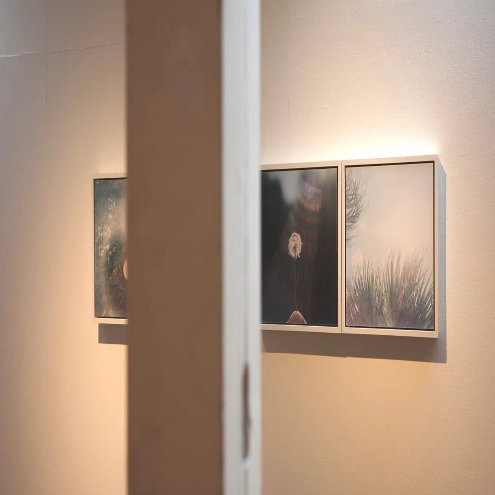 川内倫子さんの写真展 「いまここ」 - 恵比寿POST｜無為の茶客 | Kazuo